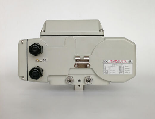 100Nm Adjustable 360° 4~20mA IP67 24V DC Motorized Rotary Actuator